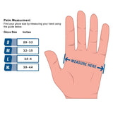 AMMEX Clear Vinyl Exam Latex Free Disposable Gloves - SMALL & MEDIUM - Palms Fashion Inc.